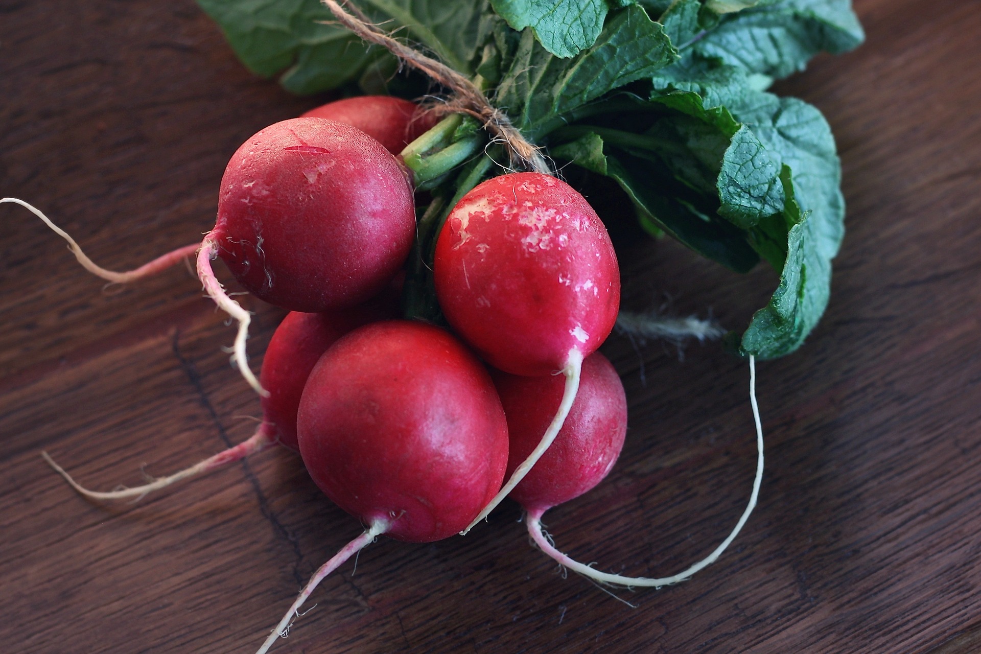 benefit of radish